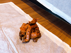 羞恥とうんち　乙女のおしり　りさちゃん(21歳・自宅警備員)　サンプル画像11